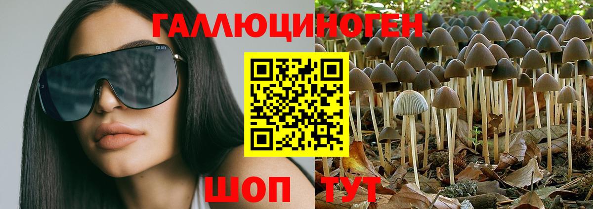 Галлюциногенные грибы Magic Shrooms  Псилоцибиновые грибы MAGIC MUSHROOMS  Россошь  Вход с VPN 