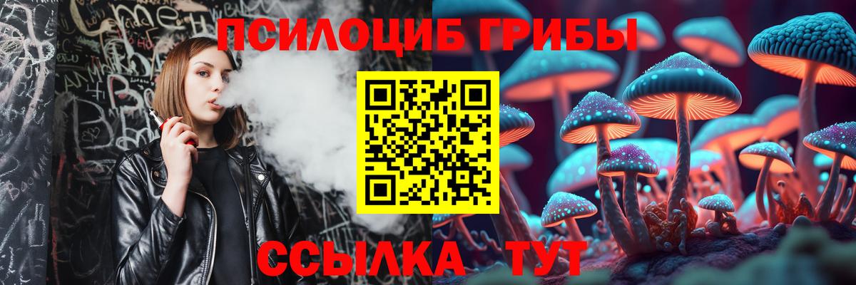Псилоцибиновые грибы Psilocybe Россошь